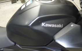 KAWASAKI Z250 Gen.2 EX250P