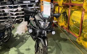 KAWASAKI VERSYS-X 250 TOURER LE250D