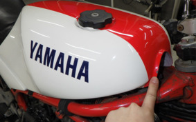 YAMAHA RZ250RR 29L