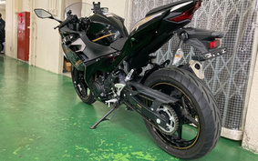 KAWASAKI Ninja 250 ABS EX250P