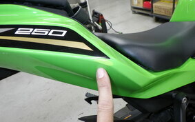 KAWASAKI ZX-25R ZX250E