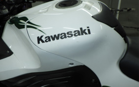 KAWASAKI ZZ1400 NINJA R 2006 ZXT40A