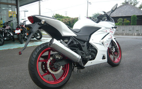 KAWASAKI NINJA 250R EX250K