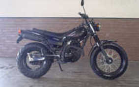 YAMAHA TW225 DG09J