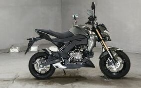 KAWASAKI Z125 PRO BR125H