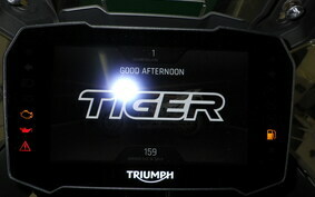 TRIUMPH TIGER900 RALLY 2024