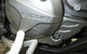 SUZUKI DL650 ( V-Strom 650 ) 2020 C733A