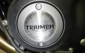 TRIUMPH SPEED TWIN 2022