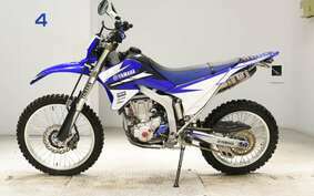 YAMAHA WR250R DG15J