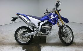 YAMAHA WR250R 2010 DG15J