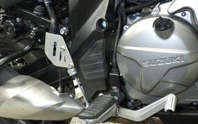 SUZUKI DL650 ( V-Strom 650 ) 2021 C733A