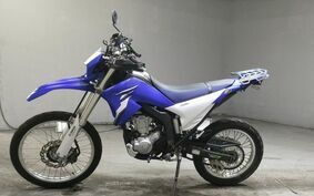 YAMAHA WR250R DG20