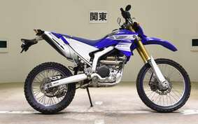 YAMAHA WR250R DG15J