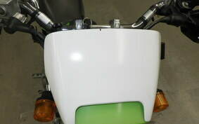 KAWASAKI SUPER SHERPA KL250G