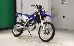 YAMAHA WR250R DG15J