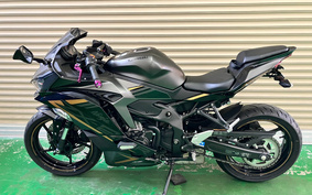 KAWASAKI NINJA ZX 25 R SE ZX250E