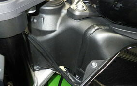 KAWASAKI NINJA ZX-6R A 2016