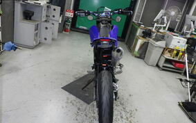 YAMAHA WR250X DG15J