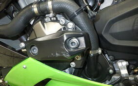 KAWASAKI NINJA ZX-6R A 2019 ZX636G