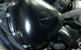 KAWASAKI W800 STREET 2021 EJ800B