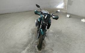 YAMAHA FZS25 不明