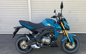 KAWASAKI Z125 PRO BR125H