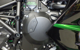 KAWASAKI NINJA H2 SX 2024 ZXT02P