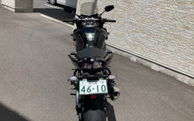 YAMAHA FZ FAZER 2011 RN21J