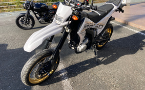 YAMAHA WR250X DG15J