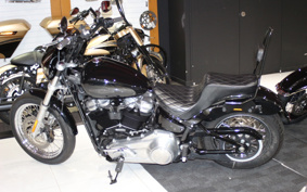 HARLEY FXST 2021 BVJ