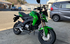 KAWASAKI Z125 PRO BR125H