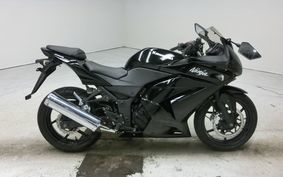 KAWASAKI NINJA 250R 2009 EX250K