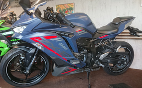 KAWASAKI NINJA ZX 25 R SE ZX250E