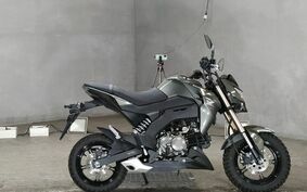 KAWASAKI Z125 PRO BR125H