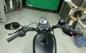 HARLEY XL883N 2019