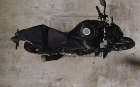 YAMAHA MT-25 A RG74J