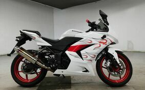 KAWASAKI NINJA 250R EX250K