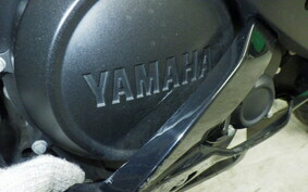 YAMAHA YZF-R15