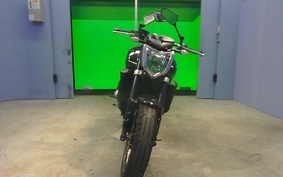 YAMAHA FZ FAZER 2010 RN21J