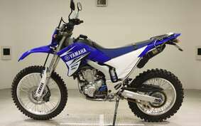 YAMAHA WR250R DG15J