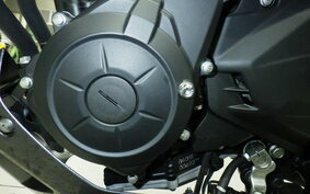 YAMAHA MT-25 RG10J