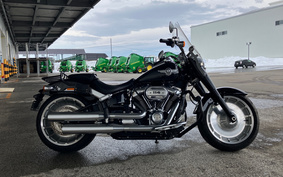 HARLEY FLFBS 2019 YGK