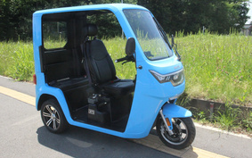 OTHER EV TUKTUK