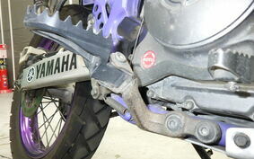 YAMAHA TT250R RAID 4GY