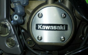 KAWASAKI NINJA150RR KR150P