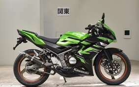 KAWASAKI NINJA150RR KR150P