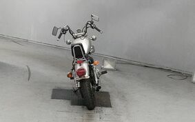 YAMAHA VIRAGO 250 3DM