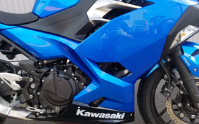 KAWASAKI Ninja 250 ABS EX250P