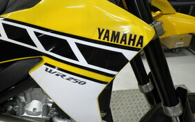 YAMAHA WR250X DG15J