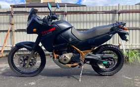 KAWASAKI KLE500 2005 LE500A